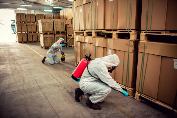 Professional Pest Control in Tavernier, FL