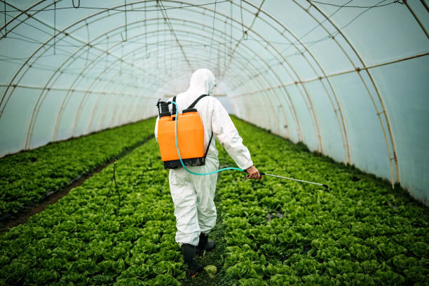 Pest Prevention Services in Tavernier, FL