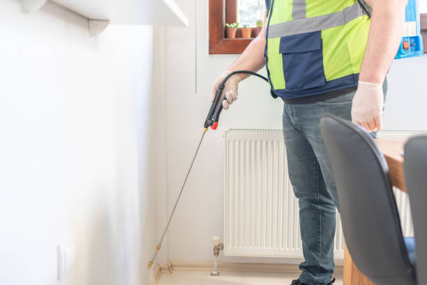 Best Wasp Removal Services  in Tavernier, FL