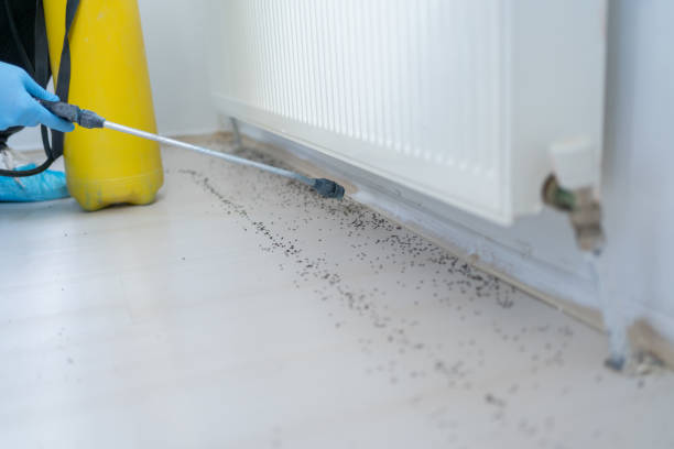 Best Wildlife Control Services  in Tavernier, FL