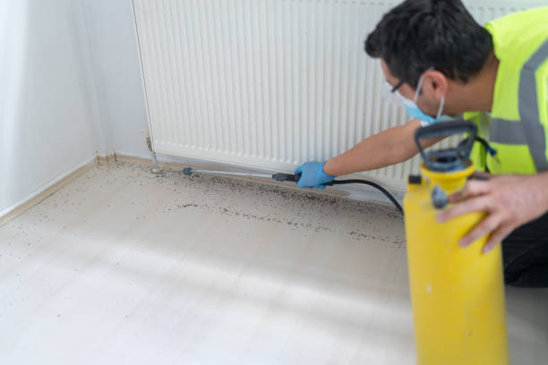 Best Pest Control Near Me  in Tavernier, FL